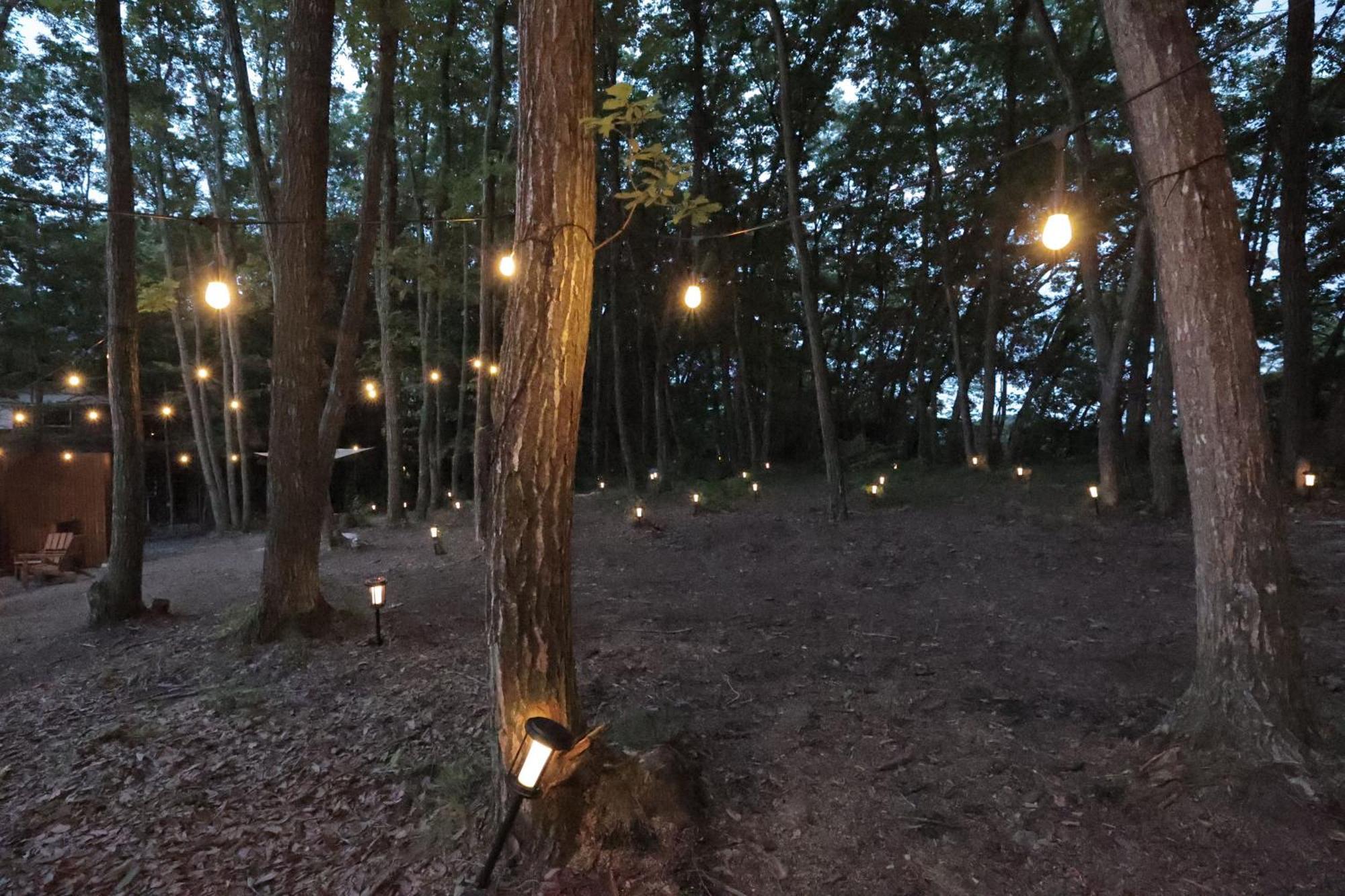Sauna Forest Cabin 軽井沢 御代田　Mori-Asobi Oiwake Buitenkant foto